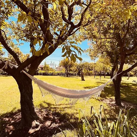 Villa Quinta Tilia - *