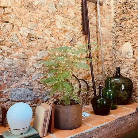 Villa Quinta Tilia - Oliveira de Azemeis